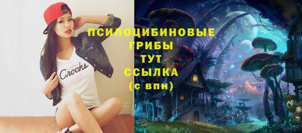 дмт Алексин
