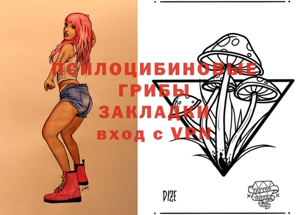 дмт Алексин