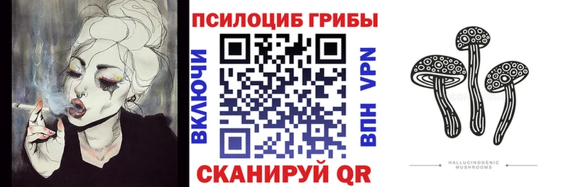 закладка  Нефтекумск  мега tor  Псилоцибиновые грибы мухоморы 